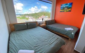 D Home 3